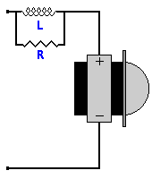 RL Contour Network Circuit